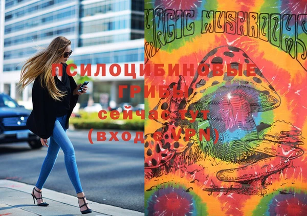 apvp Лабытнанги